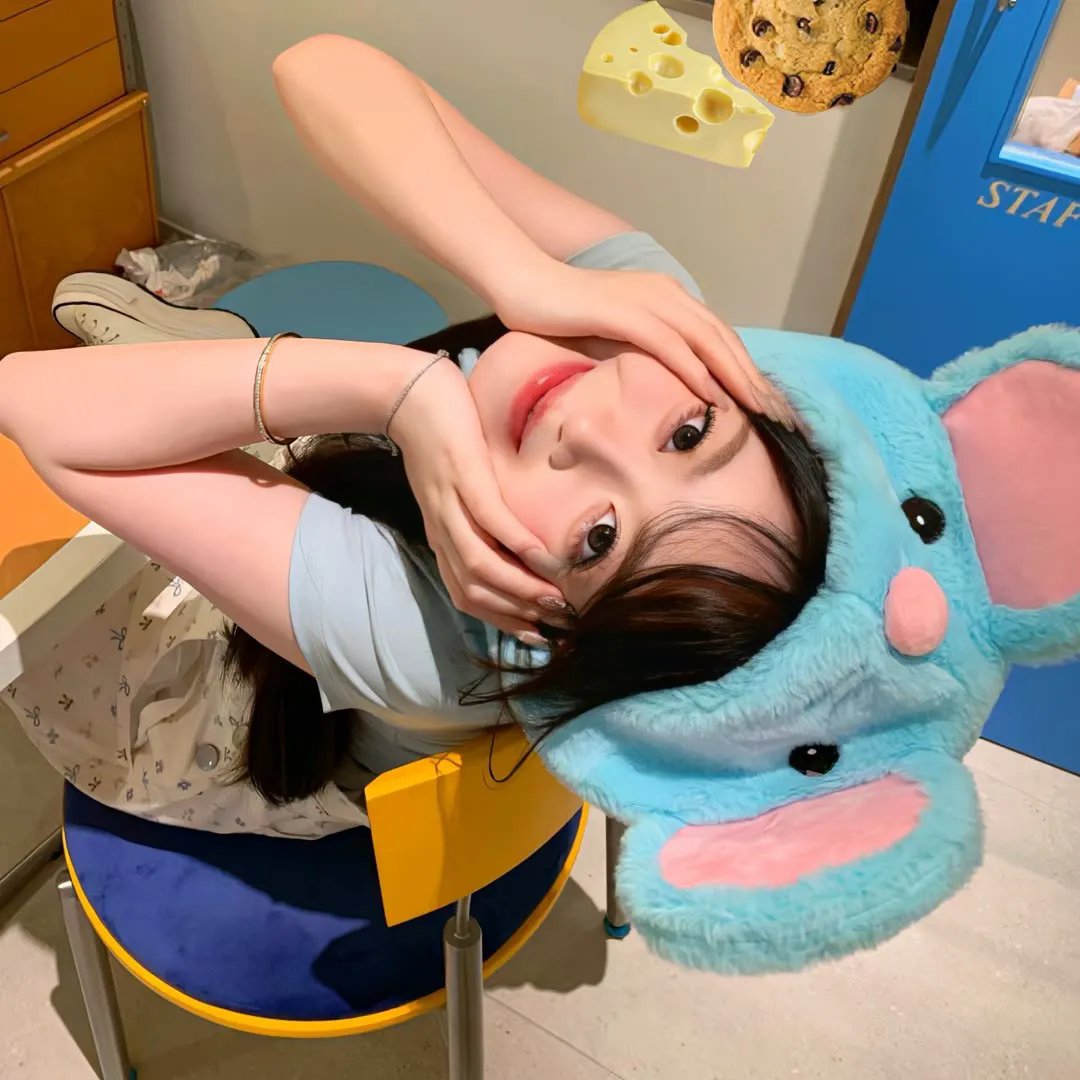 追影行动