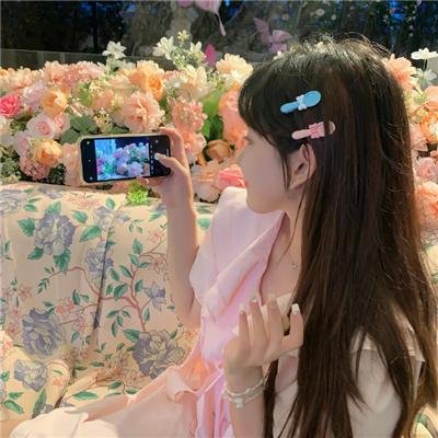 富贵吉娃娃